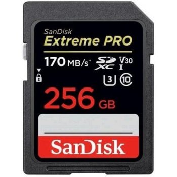 SanDisk SDXC UHS-I 256 GB SDSDXXY-256G-GN4IN