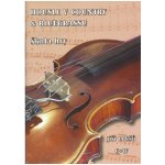 Housle v country & blugrassu + CD – Zbozi.Blesk.cz