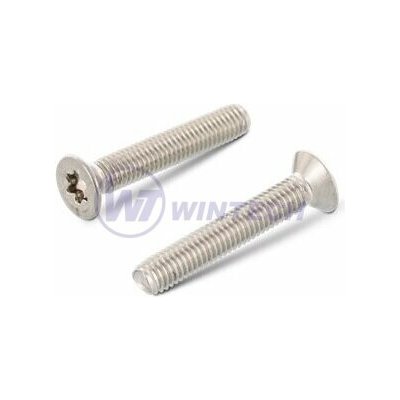 Šroub DIN 7500M ZH TX M3 x 8 A2 Balení: 1000 ks SHGCK03008AO0 – Zboží Mobilmania