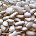 Život bez lepku Fazole velká bílá 0,5 kg – Sleviste.cz