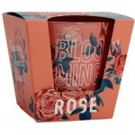 Bartek Candles Blooming Season Rose 115 g – Zboží Dáma