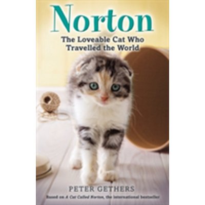 Norton, the Loveable Cat Who Travelled the World – Hledejceny.cz