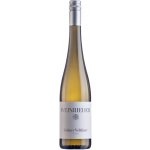 Weinrieder Grüner Veltliner KLASSIK Weinviertel 2024 suché bílé víno 12,5 % 0,75 l (holá láhev) – Hledejceny.cz
