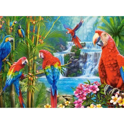 Castorland Slet papoušků 2000 dílků