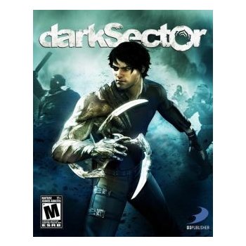 Dark Sector