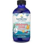 Nordic Naturals Children's DHA Omega 3 pro děti jahoda 530 mg 119 ml – Hledejceny.cz