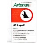 Folio Artenax 60cps – Zboží Mobilmania