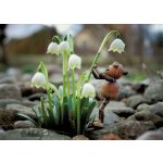 Pohlednice Jaro u Dubánků – Zboží Mobilmania