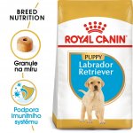 Royal Canin Labrador Retriever Puppy 3 kg – Sleviste.cz