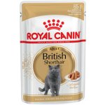 Royal Canin British Shorthair pro kočky 85 g – Hledejceny.cz