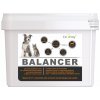 Vitamíny pro psa Dromy Balancer BARF 8in1 2900 g