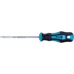 EXTOL PREMIUM 8819246 šroubovák TORX, TTa20x100mm, CrV – Zbozi.Blesk.cz