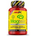 Amix Magtein Magnesium Threonate 90 kapslí – Hledejceny.cz