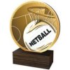 Pohár a trofej Poháry Bauer Dřevěná plaketa TFRW566 Netball