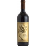 Bella Union Cabernet Sauvignon 2022 Červené 14,5% 0,75 l (holá láhev) – Hledejceny.cz