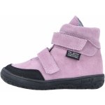 Jonap Jerry orchid – Sleviste.cz