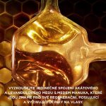 Garnier Botanic Therapy Hair Remedy Honey Treasure regenerační maska 340 ml – Zboží Mobilmania
