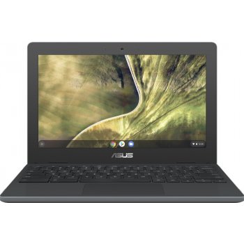 Asus Chromebook C204MA-GJ0512