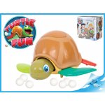 Mikro Trading Turtle Fun želva – Sleviste.cz