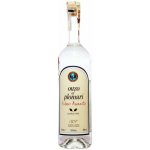 Ouzo Plomari 40% 0,7 l (holá láhev) – Zboží Dáma