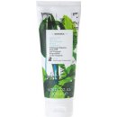 Korres Body Milk Mint tea tělové mléko 200 ml