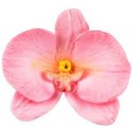 Forma na orchidej 92x60mm Silikomart – Hledejceny.cz