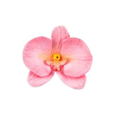 Forma na orchidej 92x60mm Silikomart – Hledejceny.cz