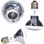 Repti Zoo Neodymium Daylight 50 W – Zboží Dáma Repti Zoo Neodymium Daylight 50 W – Zboží Dáma