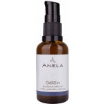 Anela Odlíčím dvoufázový odličovač očního i pleťového make-upu 30 ml – Hledejceny.cz