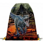 Oxybag sáček na cvičky Raptor – Hledejceny.cz