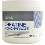 OstroVit Creatine Monohydrate, 300 g – Zboží Mobilmania