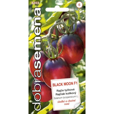 Dobrá semena Rajče tyčkové - Black Moon F1 10s černé, koktejlové, chutné – Zbozi.Blesk.cz