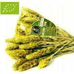 Mursalský čaj z Ránhoja horského 22 g – Hledejceny.cz