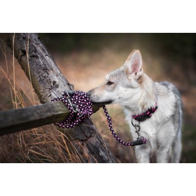 Vsepropejska Climb přepínací vodítko pro psa – Zbozi.Blesk.cz