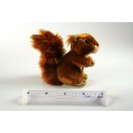 Veverka – Hledejceny.cz