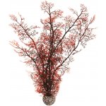 BiOrb Sea Fan karmínová 39 cm – Hledejceny.cz