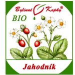 Bylinné kapky Jahodník list + květ BIO kapky tinktura 50 ml – Hledejceny.cz