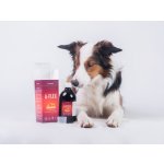 Canami A-Flex +bromelain 500 ml – Zboží Dáma