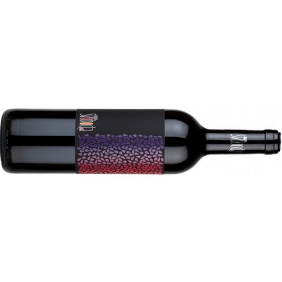 Vinařství Svoboda Pecka Red 2024 suché moravské zemské červené 12,5% 0,75 l (holá láhev) – Hledejceny.cz