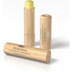 Regina pomáda s měsíčkem zahradním 3,1 g – Zboží Dáma