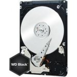 WD Black 250GB, WD2500LPLX – Sleviste.cz