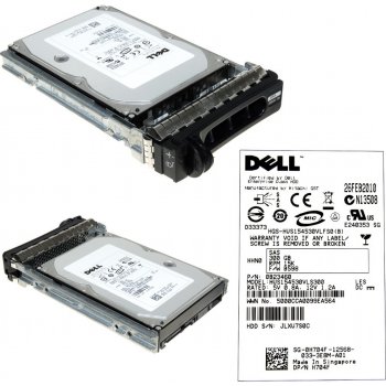 Dell 300 GB 3,5" SAS, 0H704F
