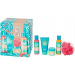 Rituals TRIAL SET AYURVEDA dárková sada The Ritual of Ayurveda sprchový gel 50 ml The Ritual of Ayurveda tělový krém 70 ml The Ritual of Ayurveda tělový peeling 125 g – Zboží Mobilmania