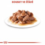 Royal Canin hair & skin v omáčce 12 x 85 g – Hledejceny.cz