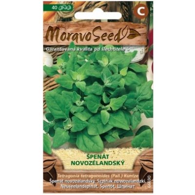 Špenát novozélandský semena MoravoSeed – Zboží Mobilmania