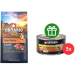 Ontario Puppy Medium Lamb & Brown Rice 6,5 kg – Hledejceny.cz