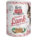 Brit Care Snack Superfruits Lamb Adult 100 g – Hledejceny.cz