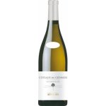 Clement а Florian Berthier Coteaux du Giennois Blanc 2023 Bílé 13,5% 0,75 l (holá láhev) – Hledejceny.cz