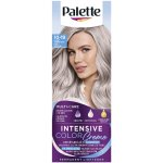Palette Intensive Color Creme barva na vlasy Chladný Stříbřitě Plavý 10-19 – Sleviste.cz