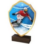 Poháry Bauer Dřevěná plaketa TFRW285 Snowboard – Sleviste.cz